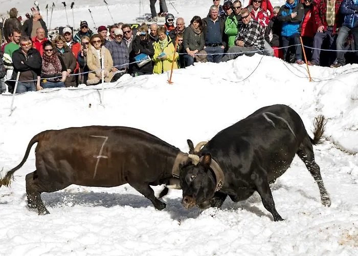 Residenz Iris ロイカーバード