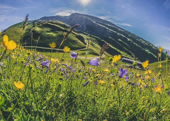 Residenz Iris アパート ロイカーバード